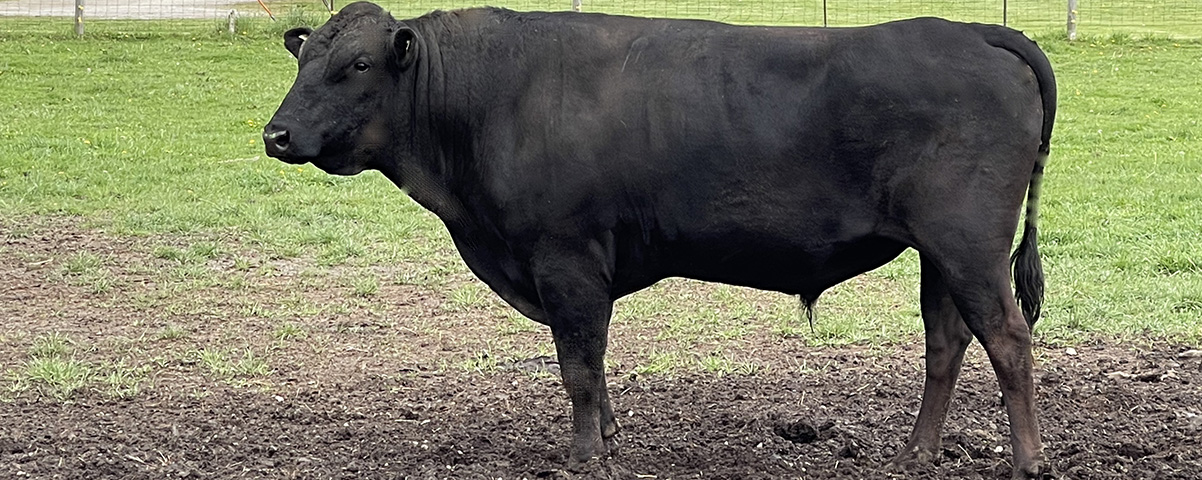 Beautiful Eversole Run Farm in Powell, Ohio