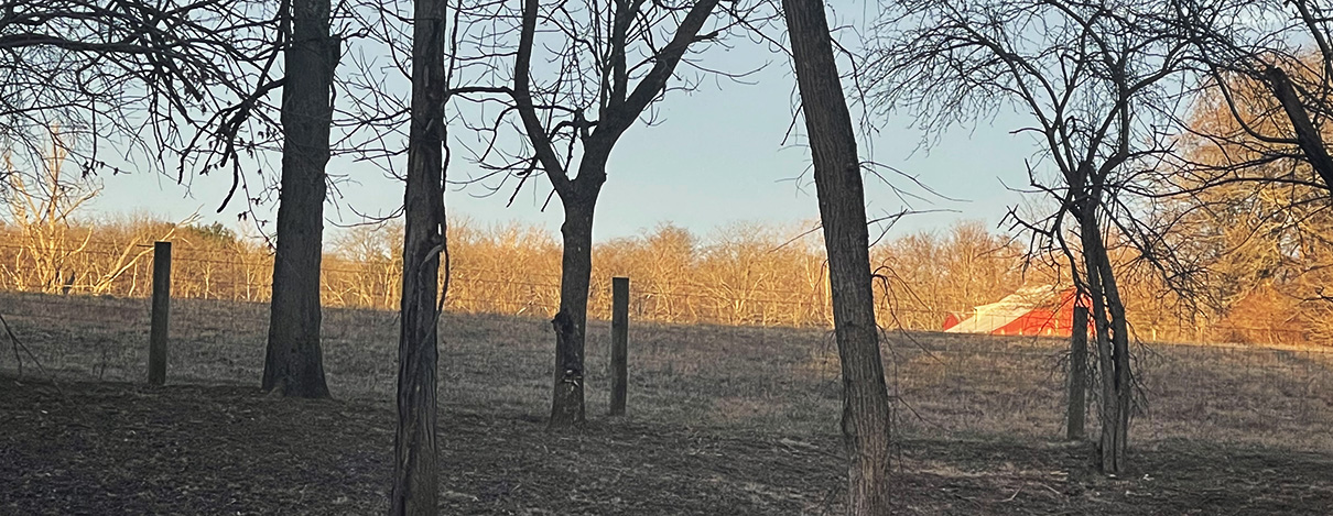 Beautiful Eversole Run Farm in Powell, Ohio
