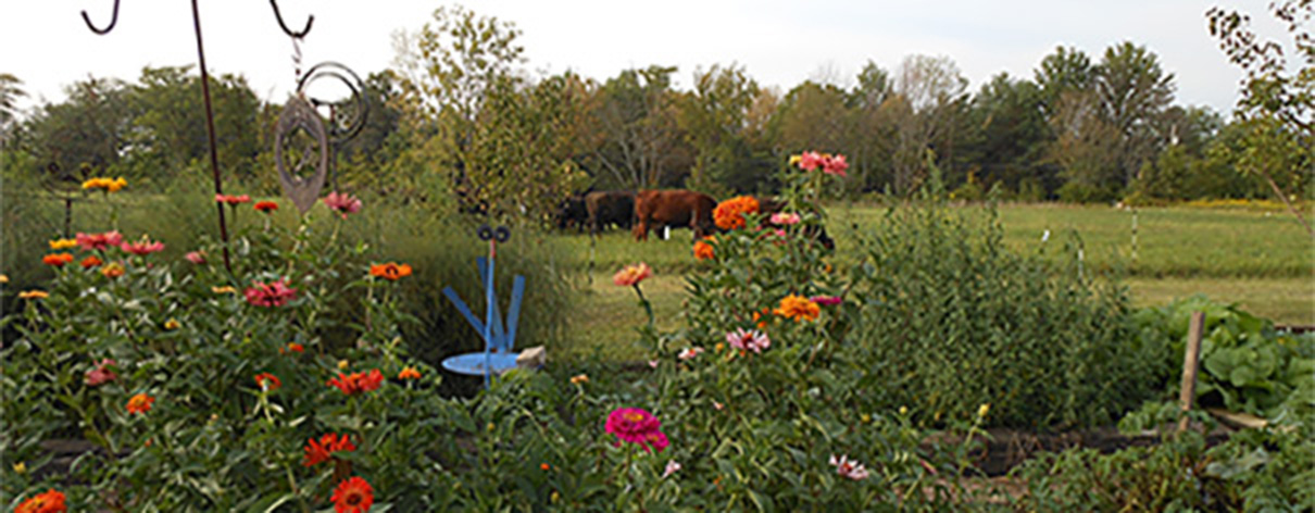 Beautiful Eversole Run Farm in Powell, Ohio